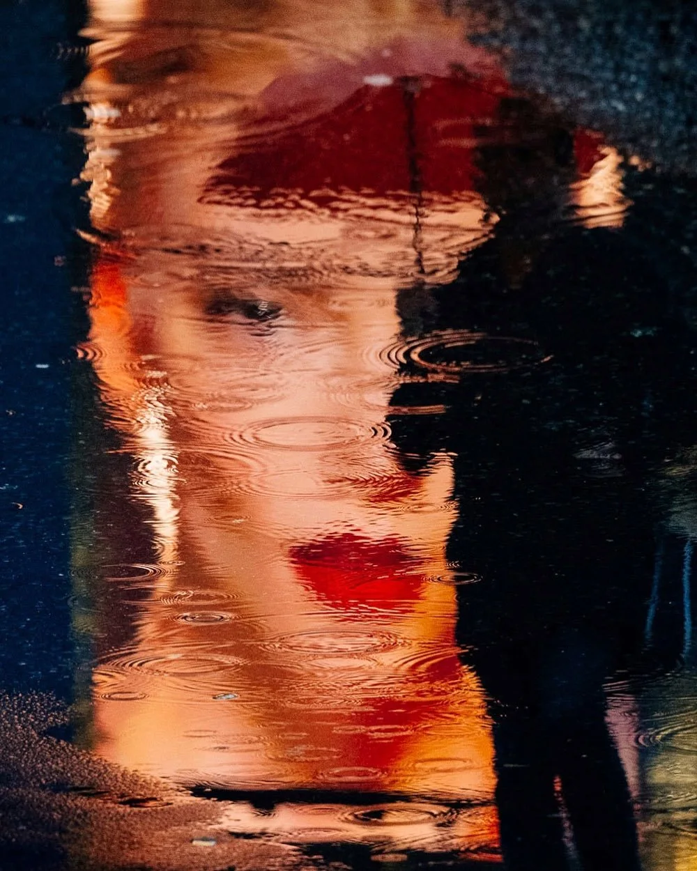 【审美提升】雨中的诗篇专题分享