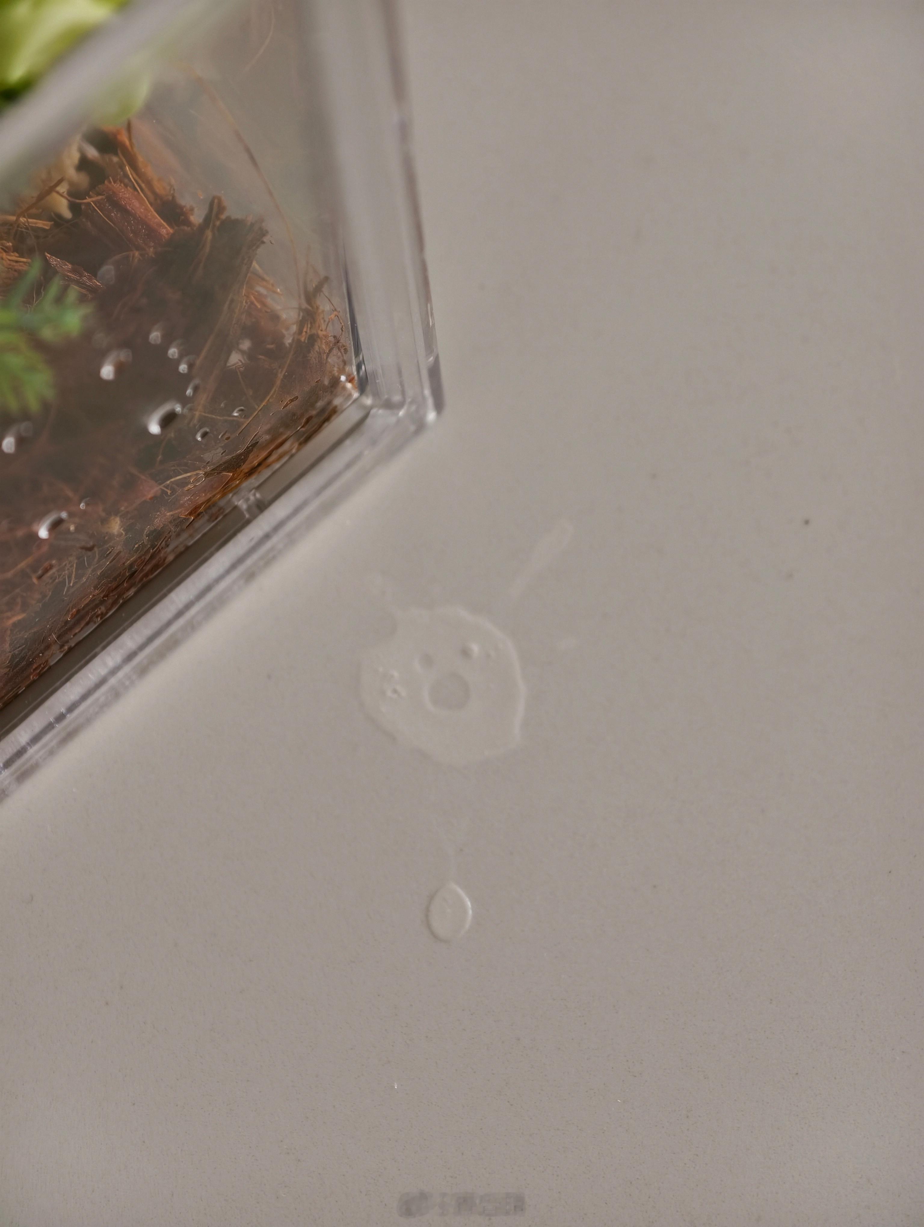 谁懂啊，早上擦桌子时候看到一个水渍，像一个惊讶小表情（所以，今天的心情...