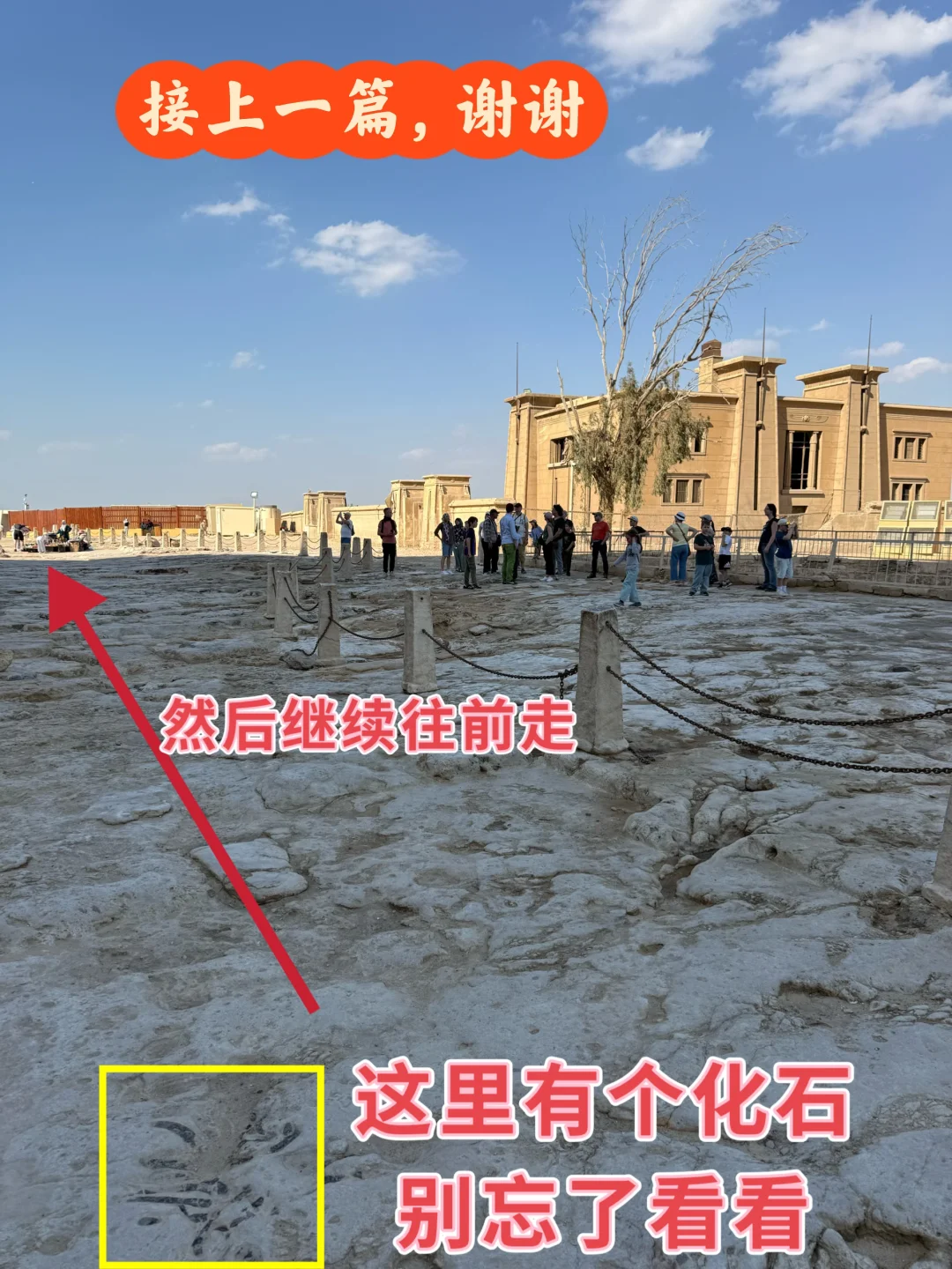 金字塔蕞优化路线，全程实景指引，不走冤枉路