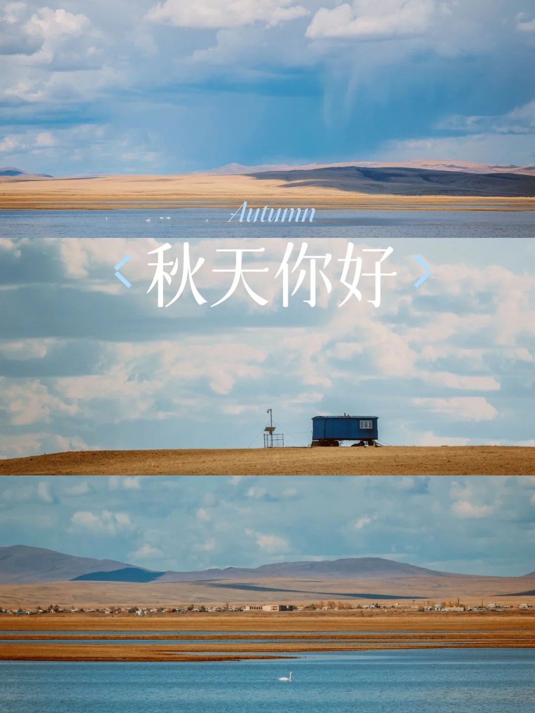 我见过最美的秋天，属于呼伦贝尔卡线