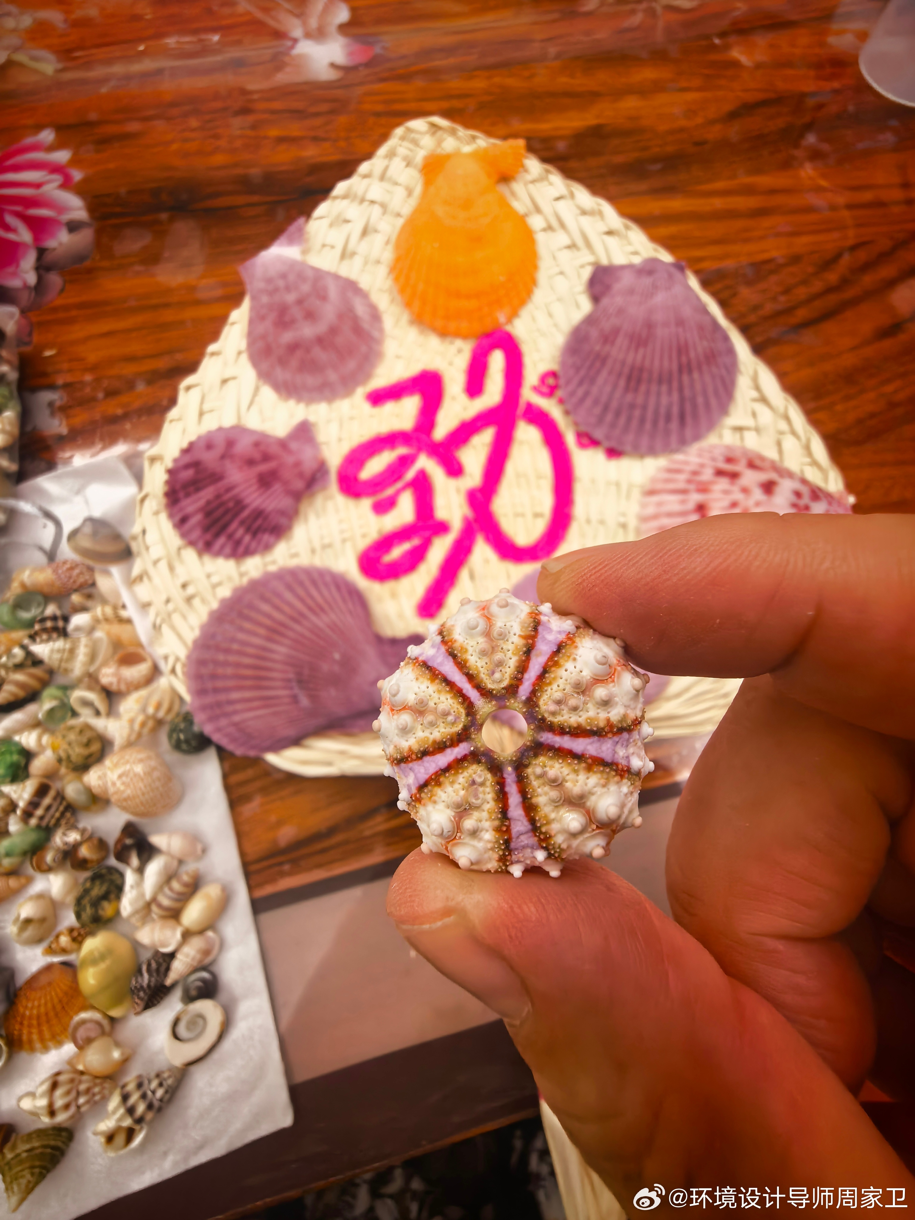 焦虑就像一把粗糙的铁锁，你越把它当回事，它就把你的骨架勒得越紧，连呼吸...