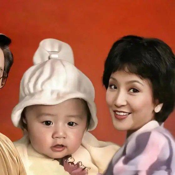 《含着金汤匙出生的谢霆锋。1981年小霆锋的bb房，狄波拉的衣柜》播放量：4.6万
点赞量：811 ​