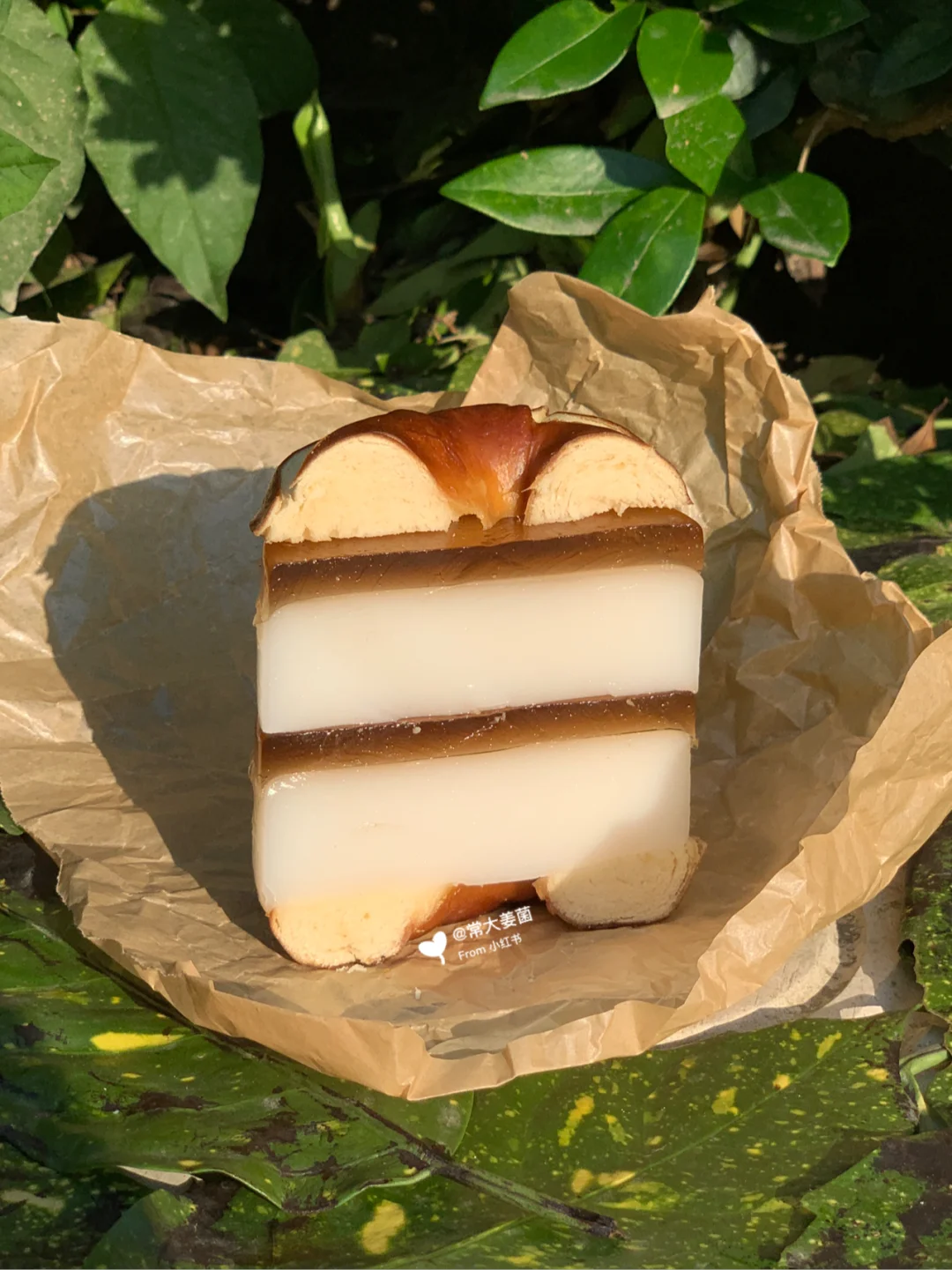 这小白胖是啥神仙⁉️ 生打椰奶凉茶冻🥥