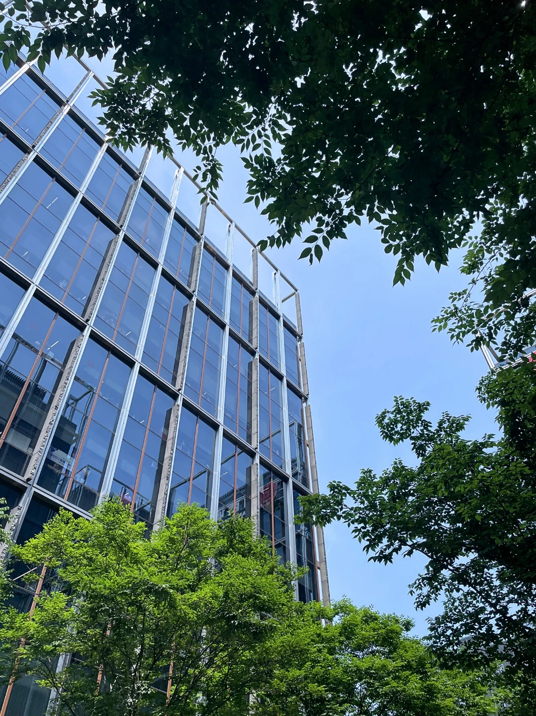 密集面试后 总结成功达到90%的心得