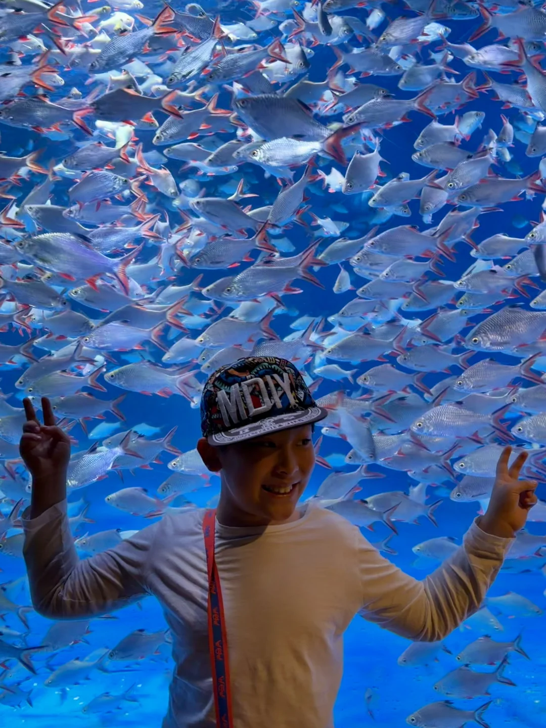 南京遛娃｜五一海底世界亲子游玩不排队