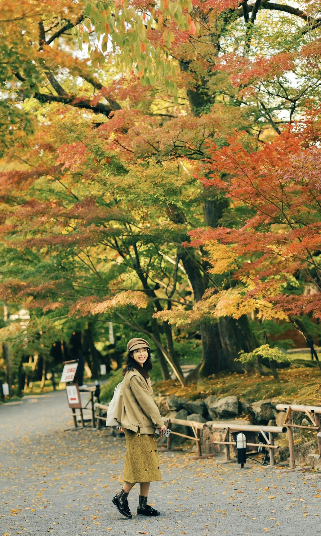 好多色彩斑斓的树拍了拍我～