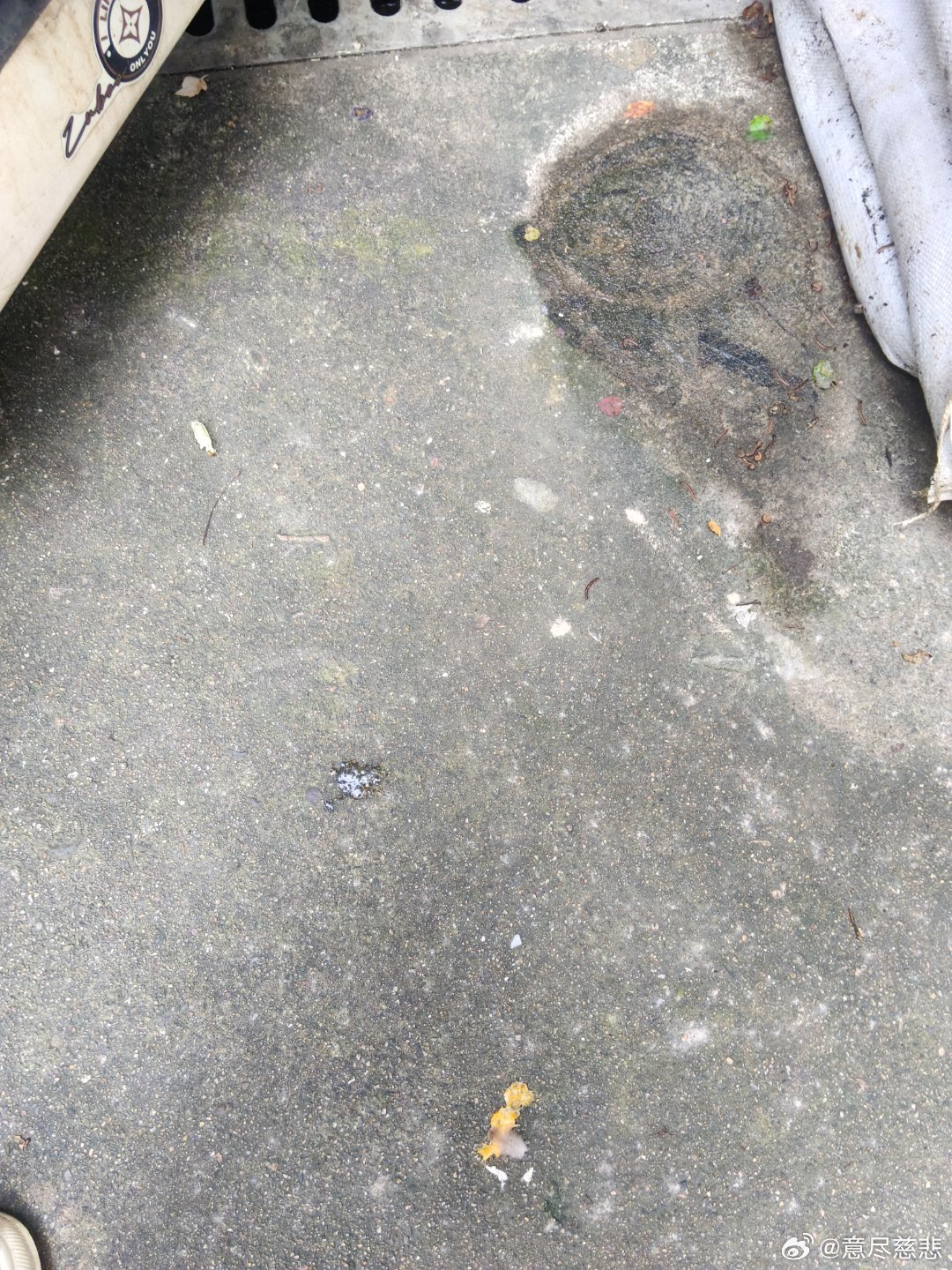 楼道边上堆放早已过了台风季的防汛沙袋，长期挡路，影响日常进出通行。
我贴出纸条善意提醒对方尽快挪走沙袋，结果纸条被直接扔掉。还有人从楼上往下吐口水（不是二楼就是三楼，二楼夫妇做兔毛生意，三楼是个包工头，住的这栋楼就是他建造的），差一点就落到我的头顶上。
 
沙袋堆在这里已经没有防汛作 ​