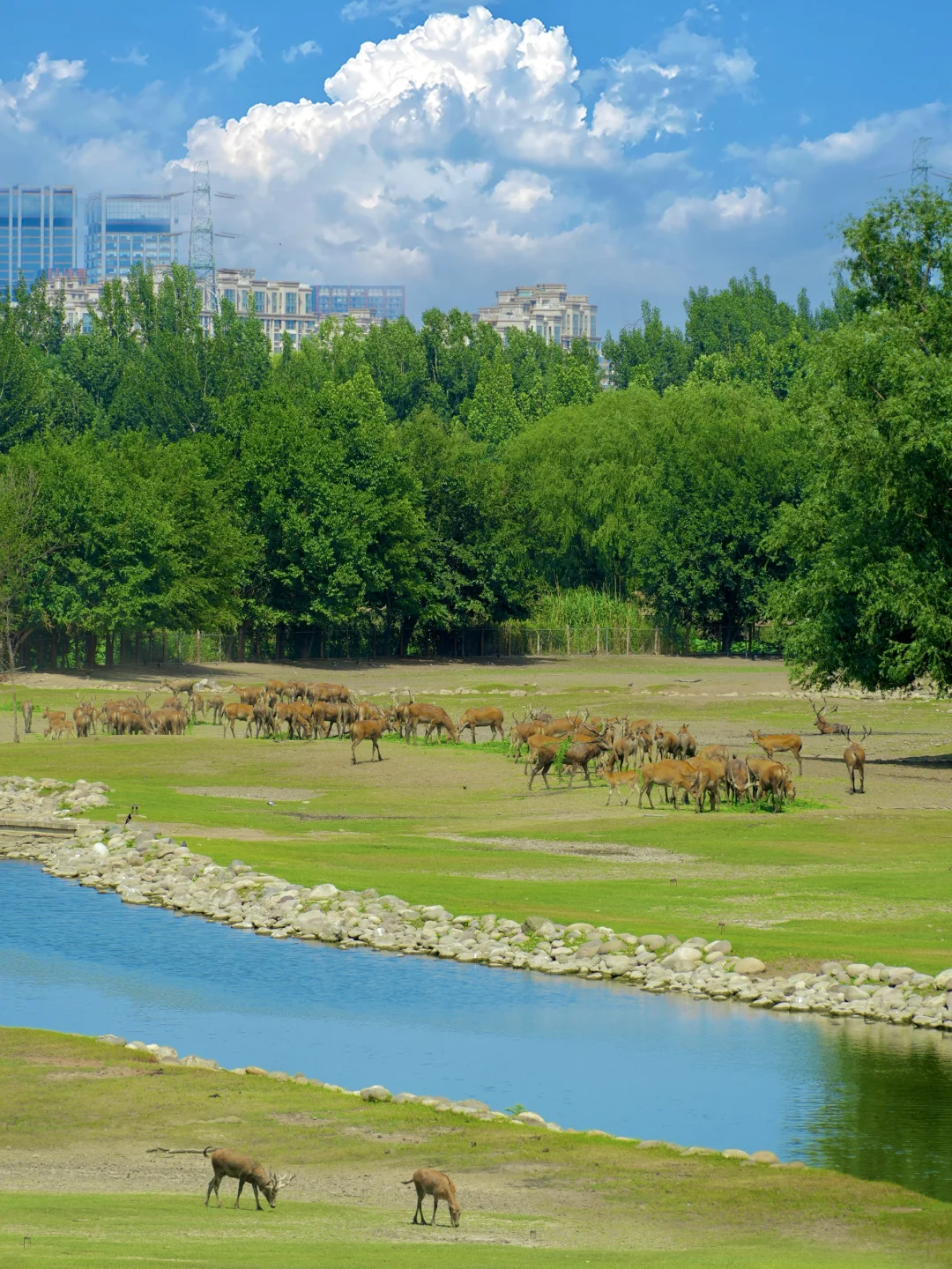 北京！❶❺个免费超高能量场被我找到了🔋