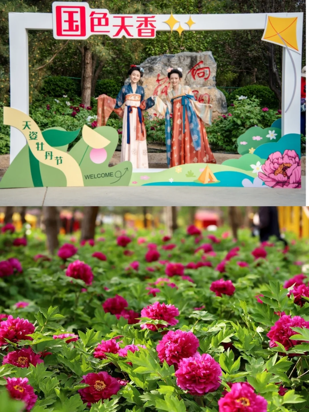 京城惊现春日✨限定牡丹仙境，速来！