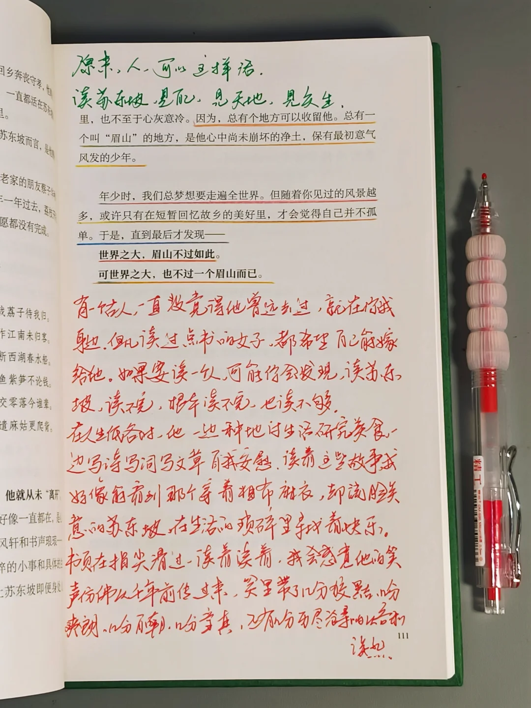 求你们去看苏东坡，我真的激动到失眠😭