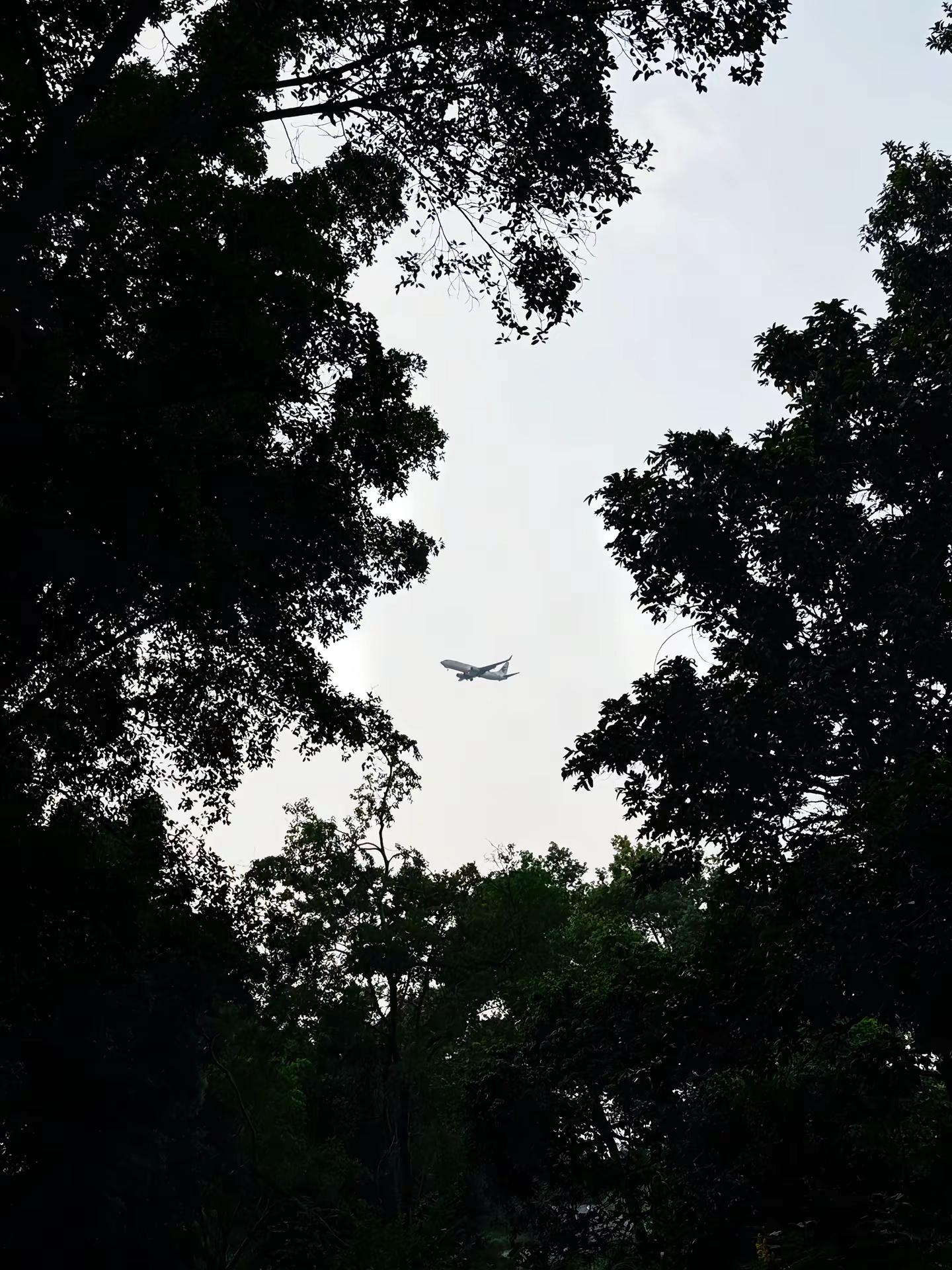 很多东西看久了会腻，唯独你越看越喜欢