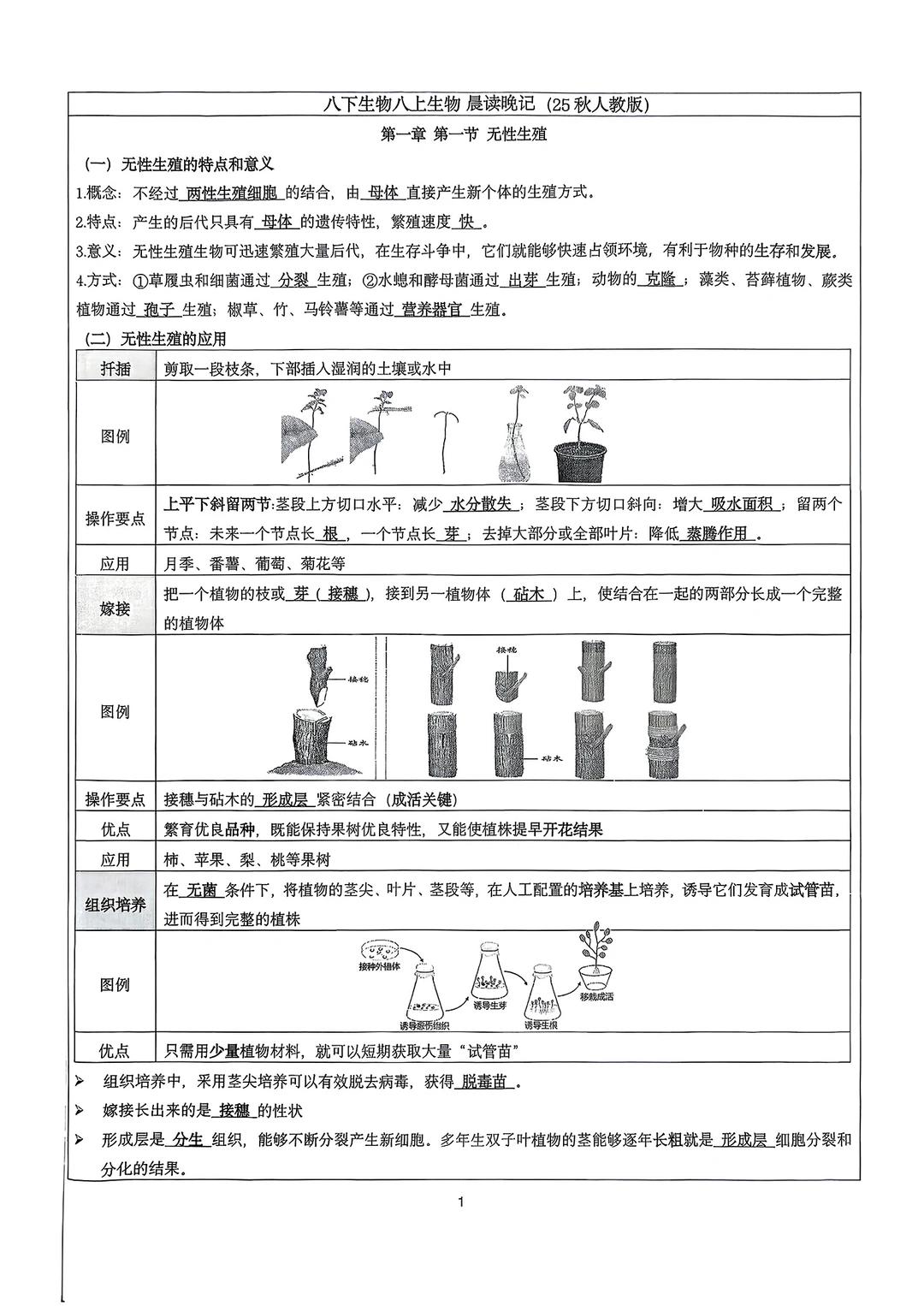 新版八年级上册生物知识点