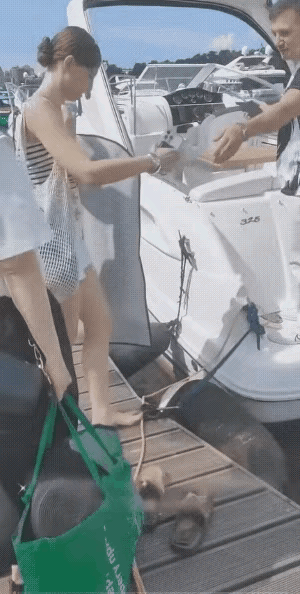 尴尬了吧，你是第一个这样掉海里的。