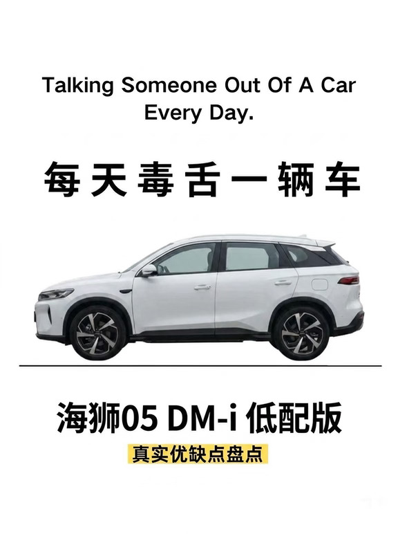 10万级插混SUV｜海狮05 DM-i 低配版