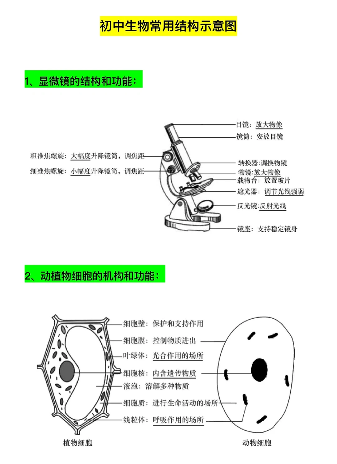 初中生物常用结构示意图，清晰好记‼️