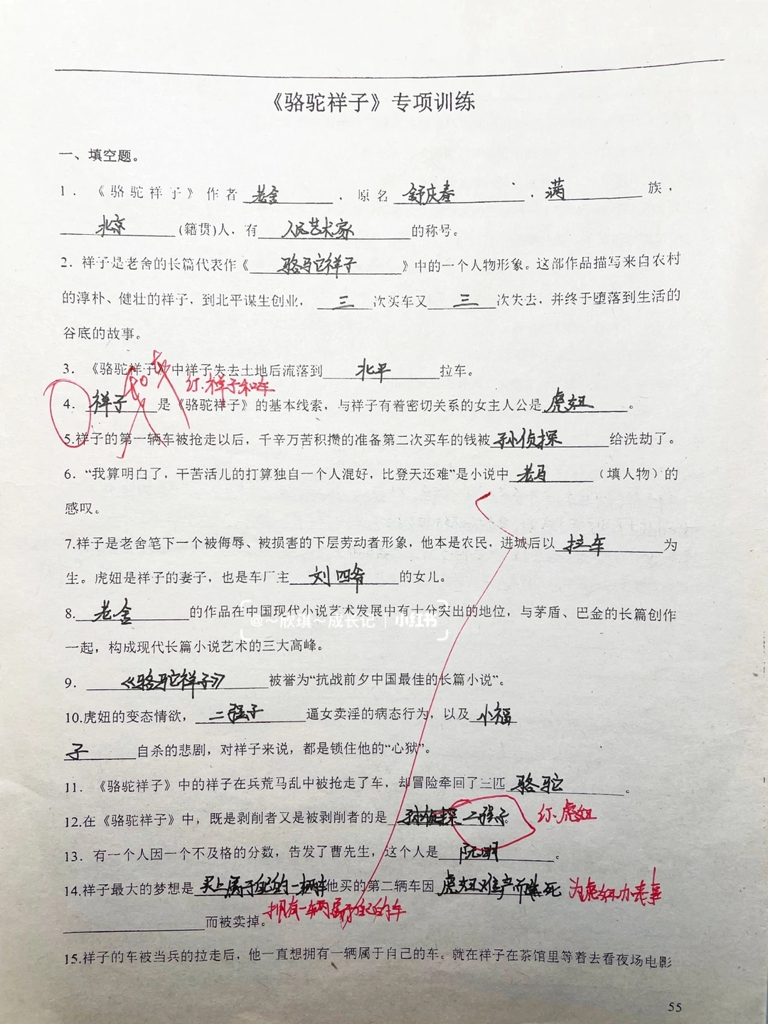 初一语文《骆驼祥子》专项训练