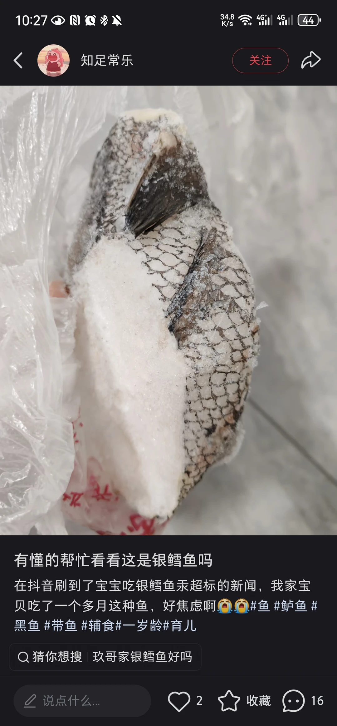 这是银鳕鱼吗？