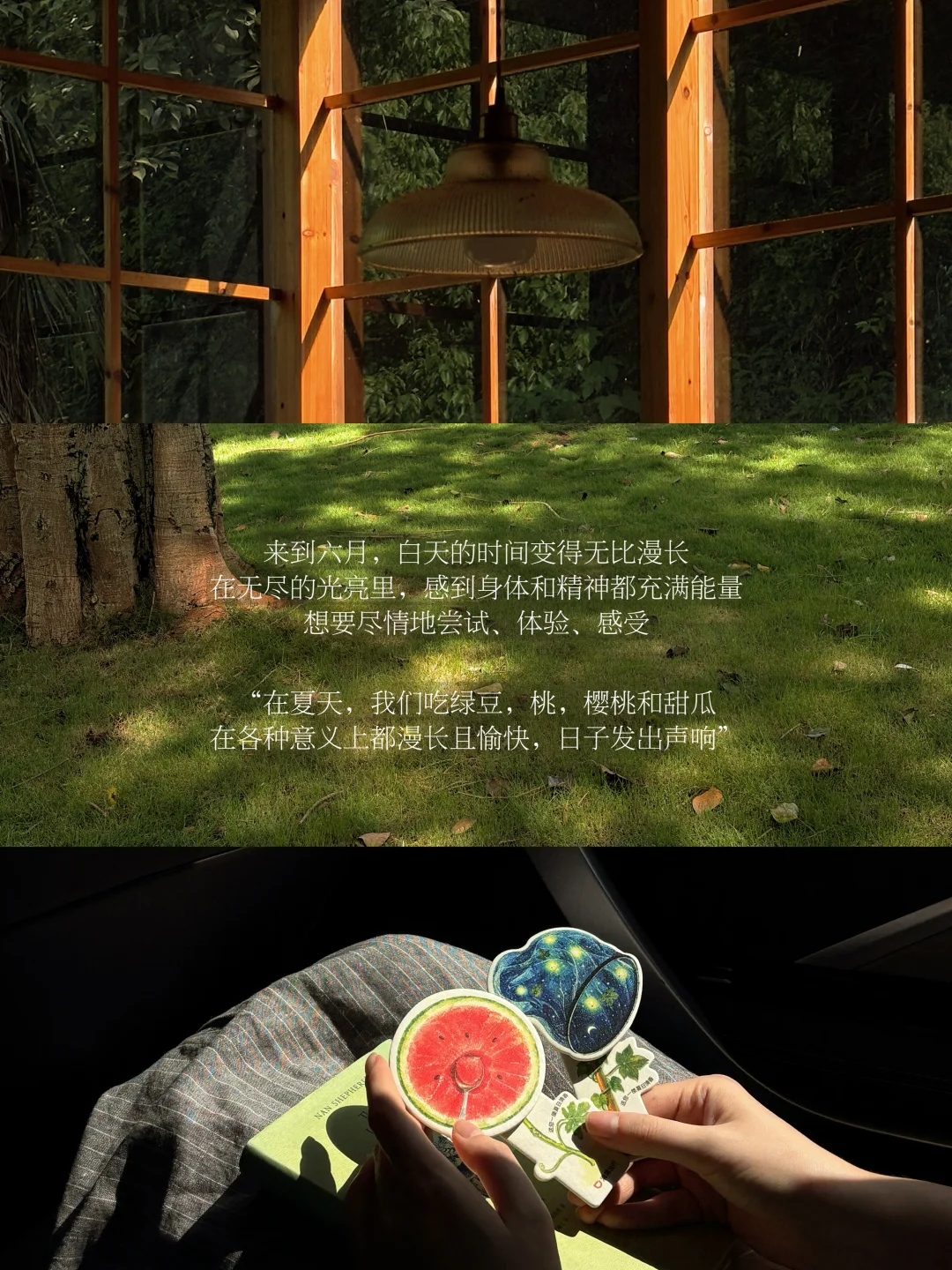 在夏天，人生又好又漫长