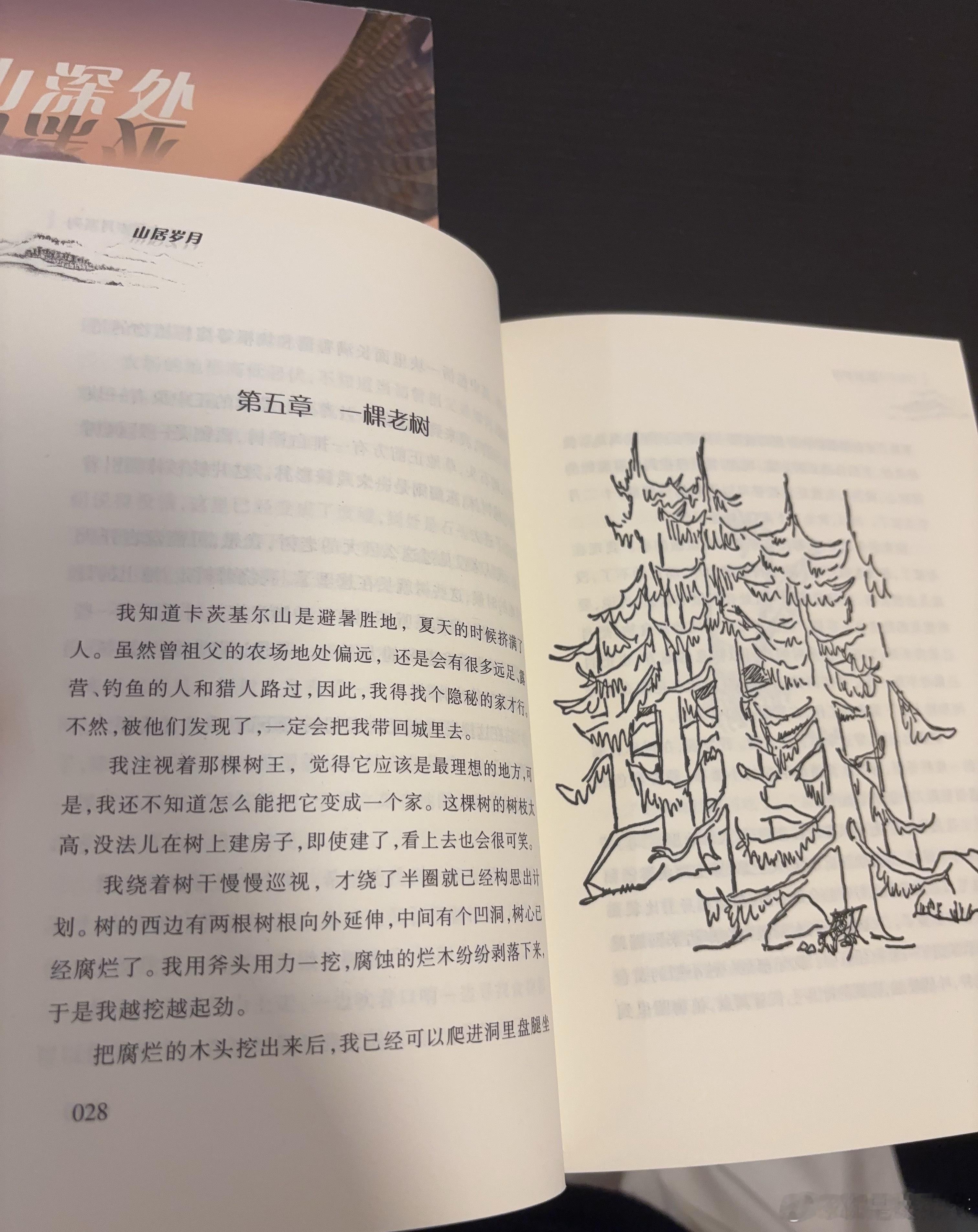#深图布克家族爱读书#  分享一套暑假跟孩子一起阅读的书籍——《山居岁月》  
一口气读完《山居岁月》《远山深处》《惊风的山》三部曲，仿佛跟随男孩山姆在卡茨基尔山的森林里度过了一段漫长而真实的岁月。

第一部《山居岁月》中，纽约男孩山姆带着一把小刀、一捆绳索、一把斧头走进山林 ​