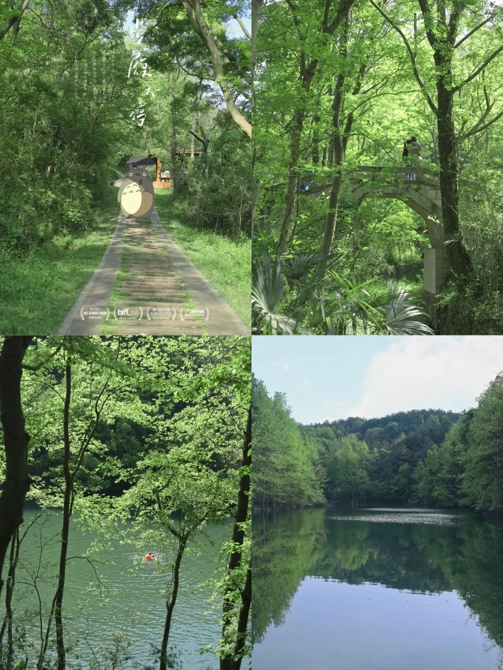 武汉宝藏徒步郊游地/0元闯入动漫森林秘境❗