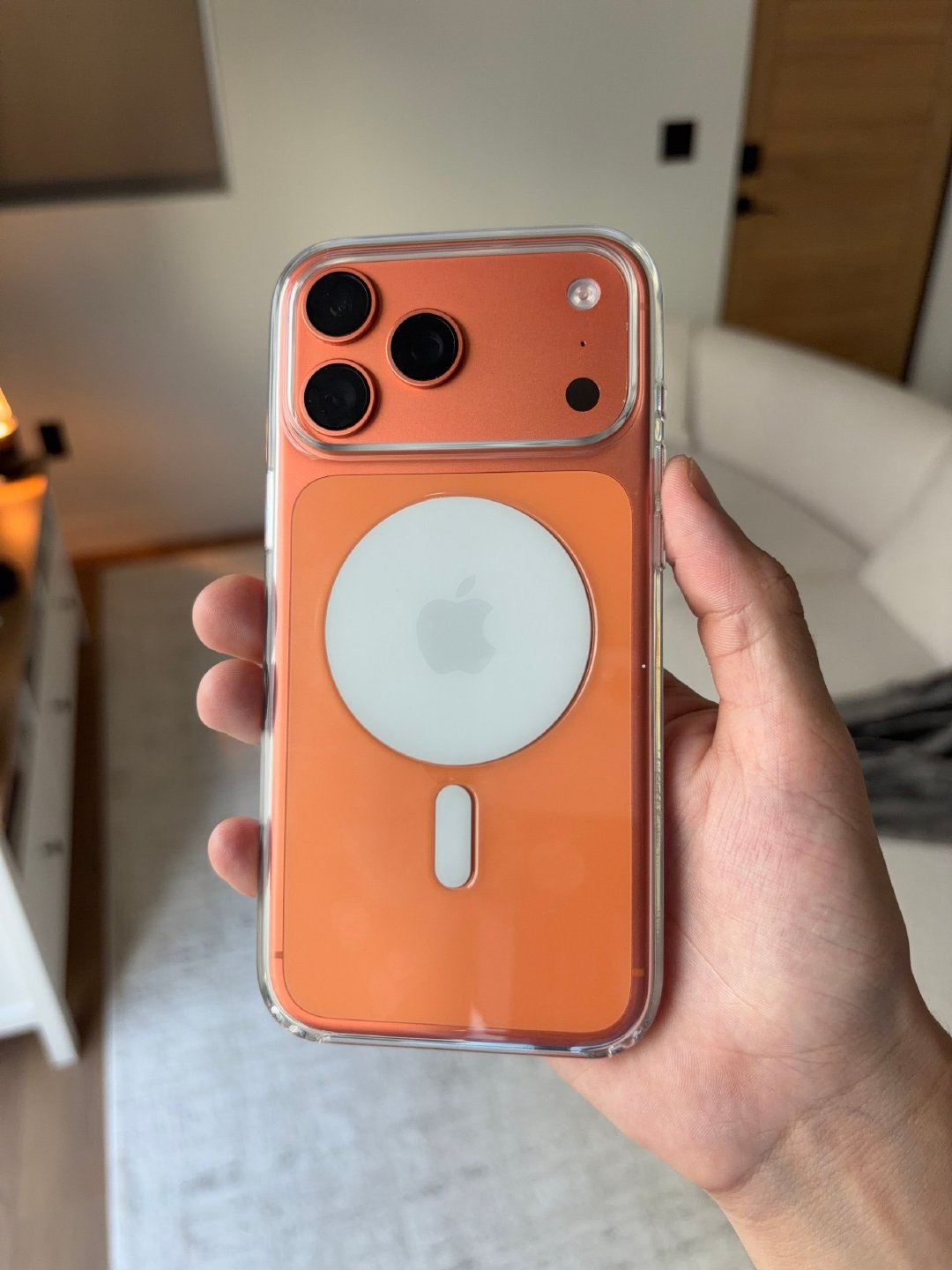 iPhone 18 Pro Max 的透明壳放 17 上，土么 ​