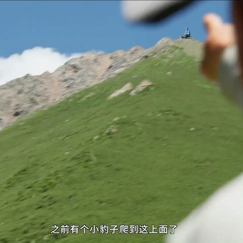 对✓你说得对[大笑]
之前有个小豹子爬到这上面了
小豹子🐆就是王一博[爱慕]