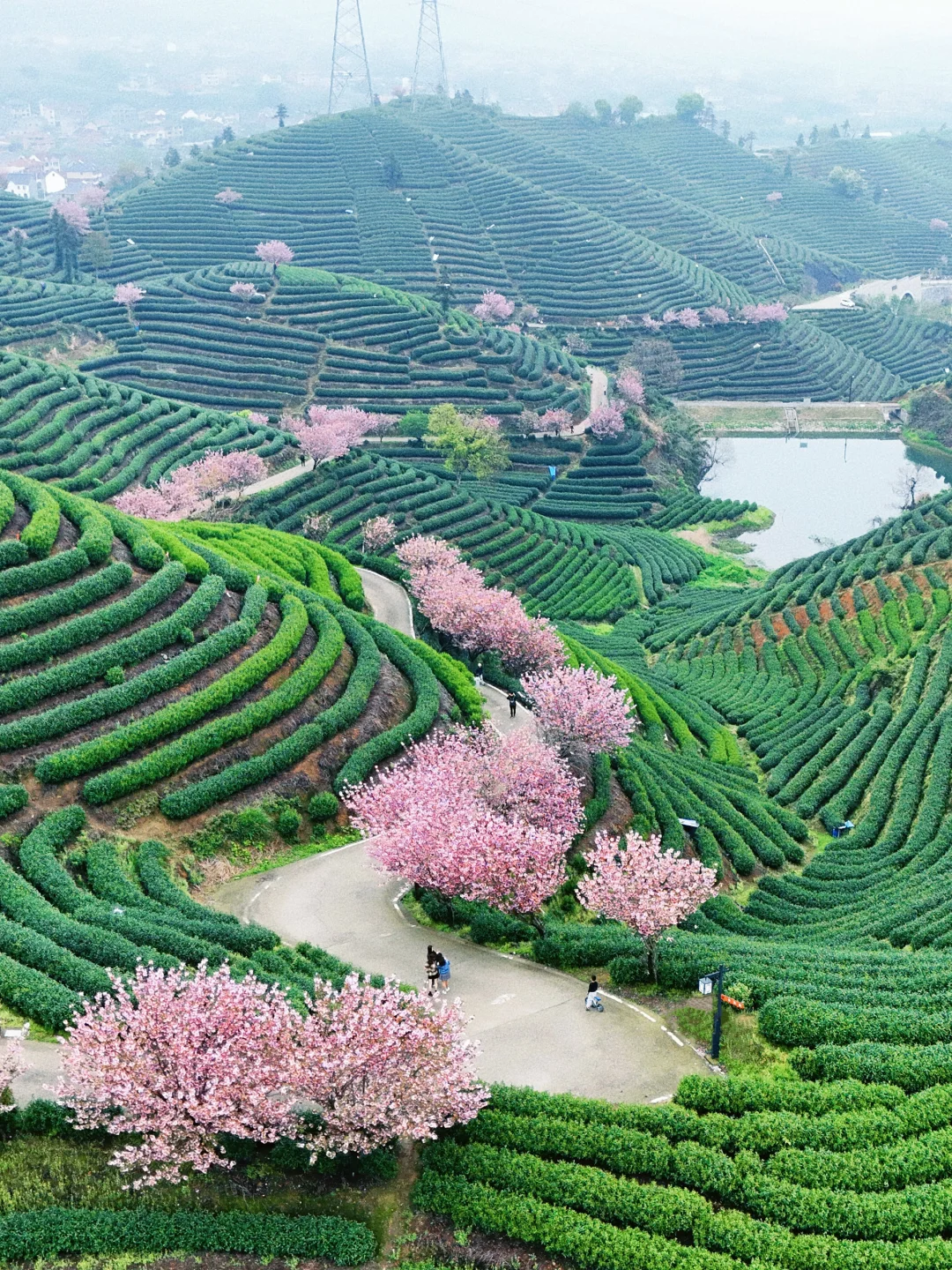 以为龙井村够美了，直到我去了杭州无量山⛰️