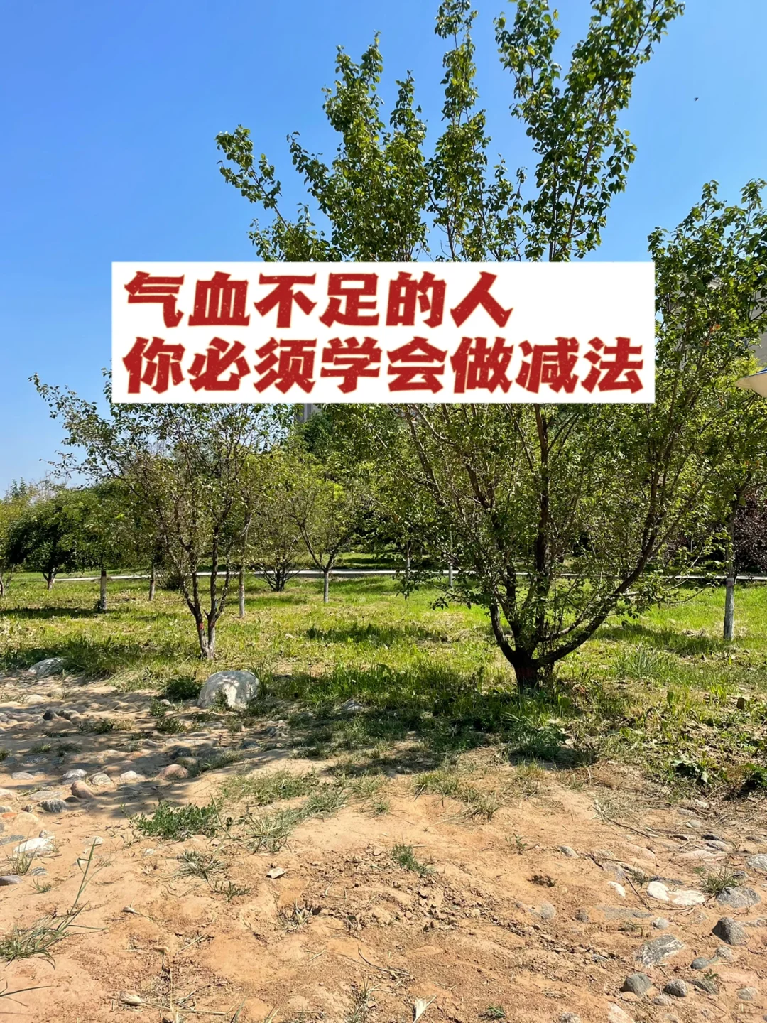 气血不足的人，你必须学会做减法.