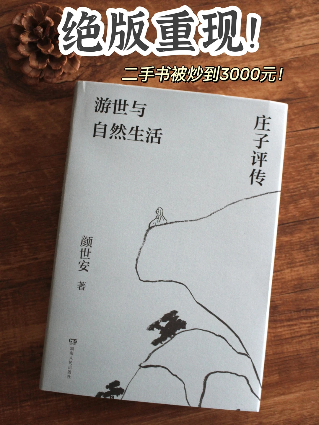 豆瓣9.2，我心目中天下第一的庄子评传！
