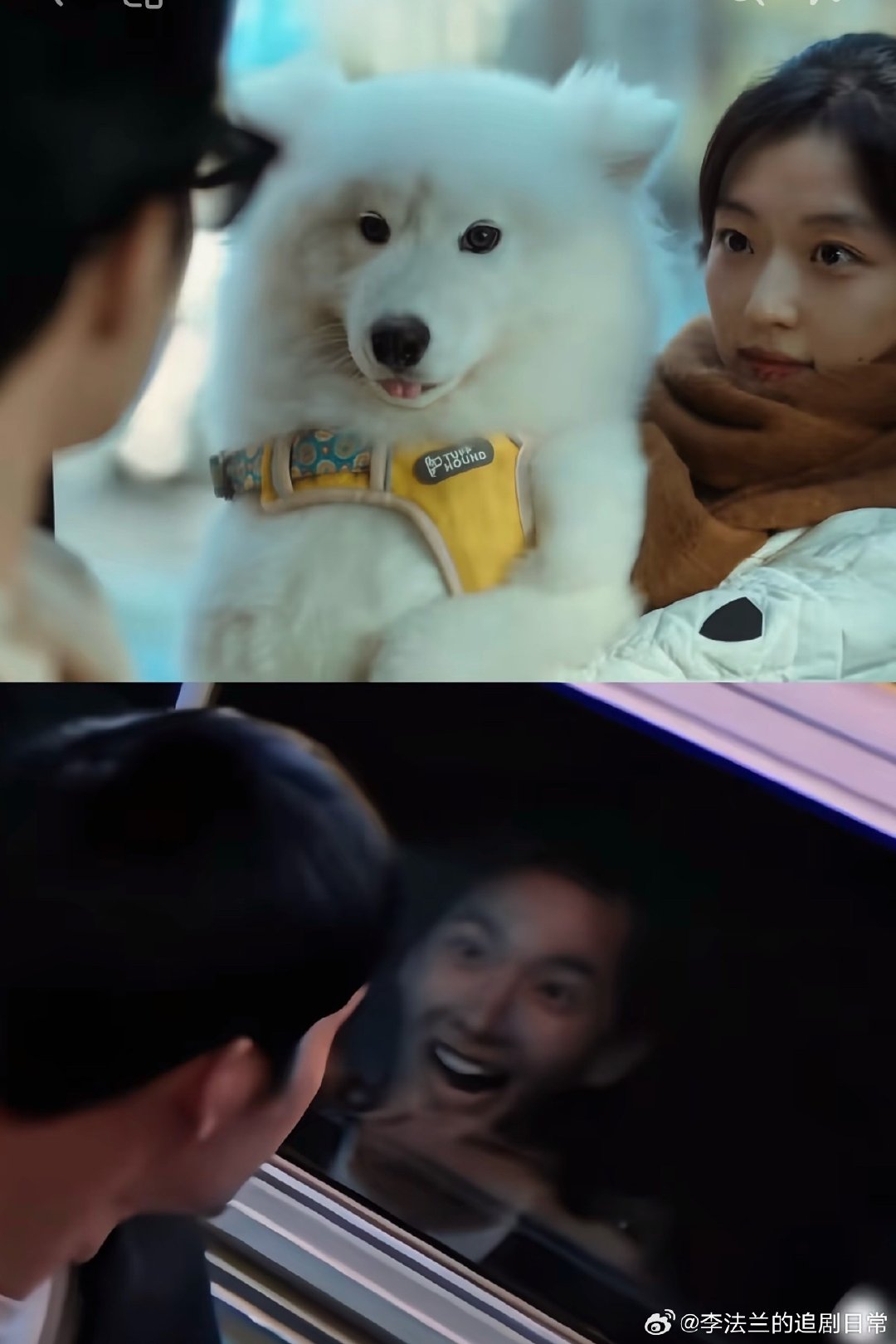 原来#早春晴朗#有致敬过花少2，求生的欲望看上去是比X欲大很多，哈哈哈哈哈哈哈 ​