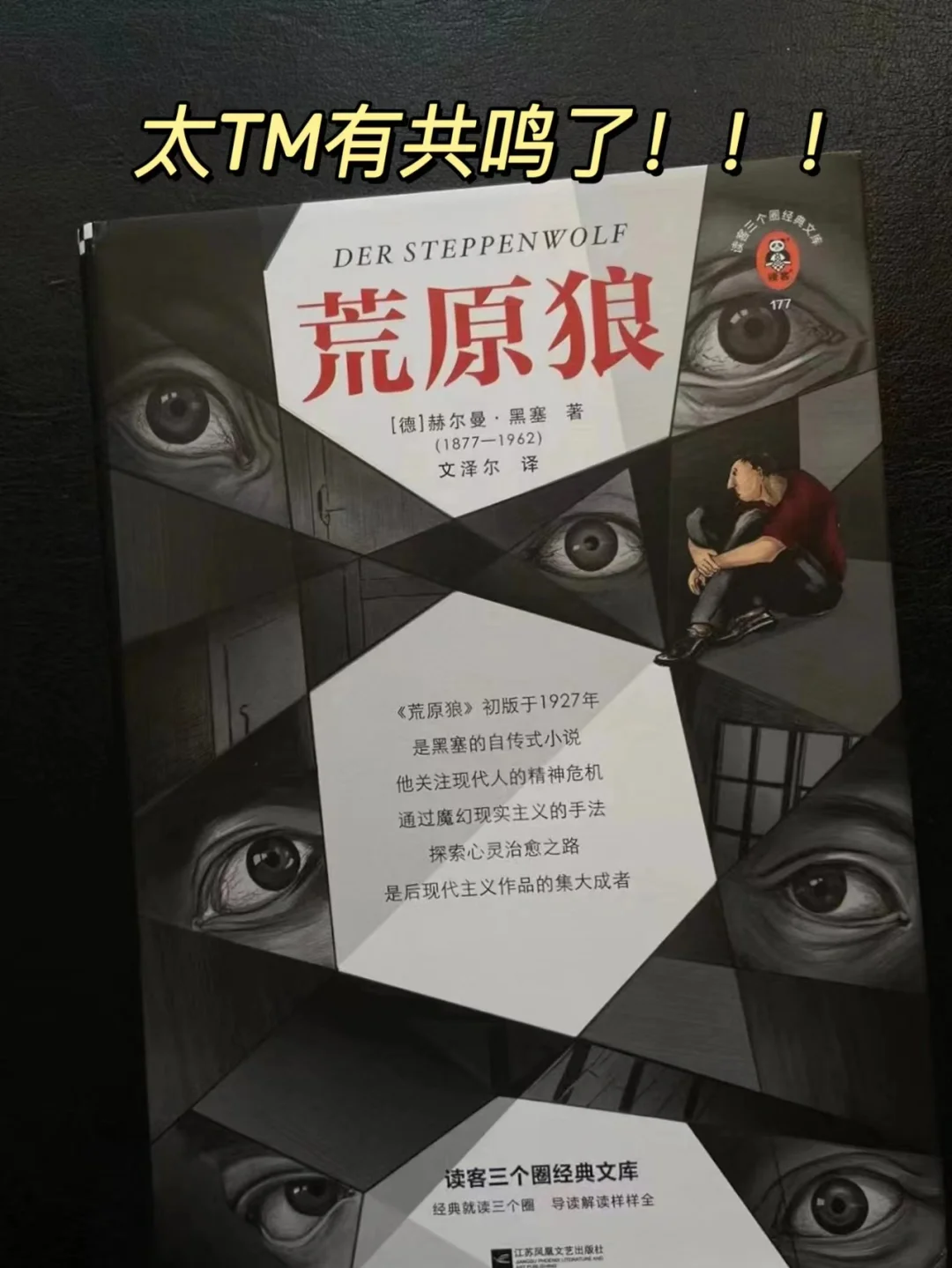 如果你敏感、孤独、焦虑，这本书可以治愈你！