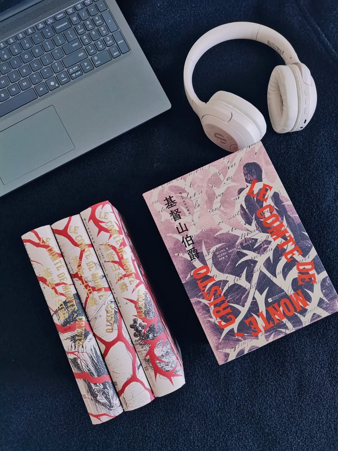 不愧是连法国前总统入狱都得带着的书