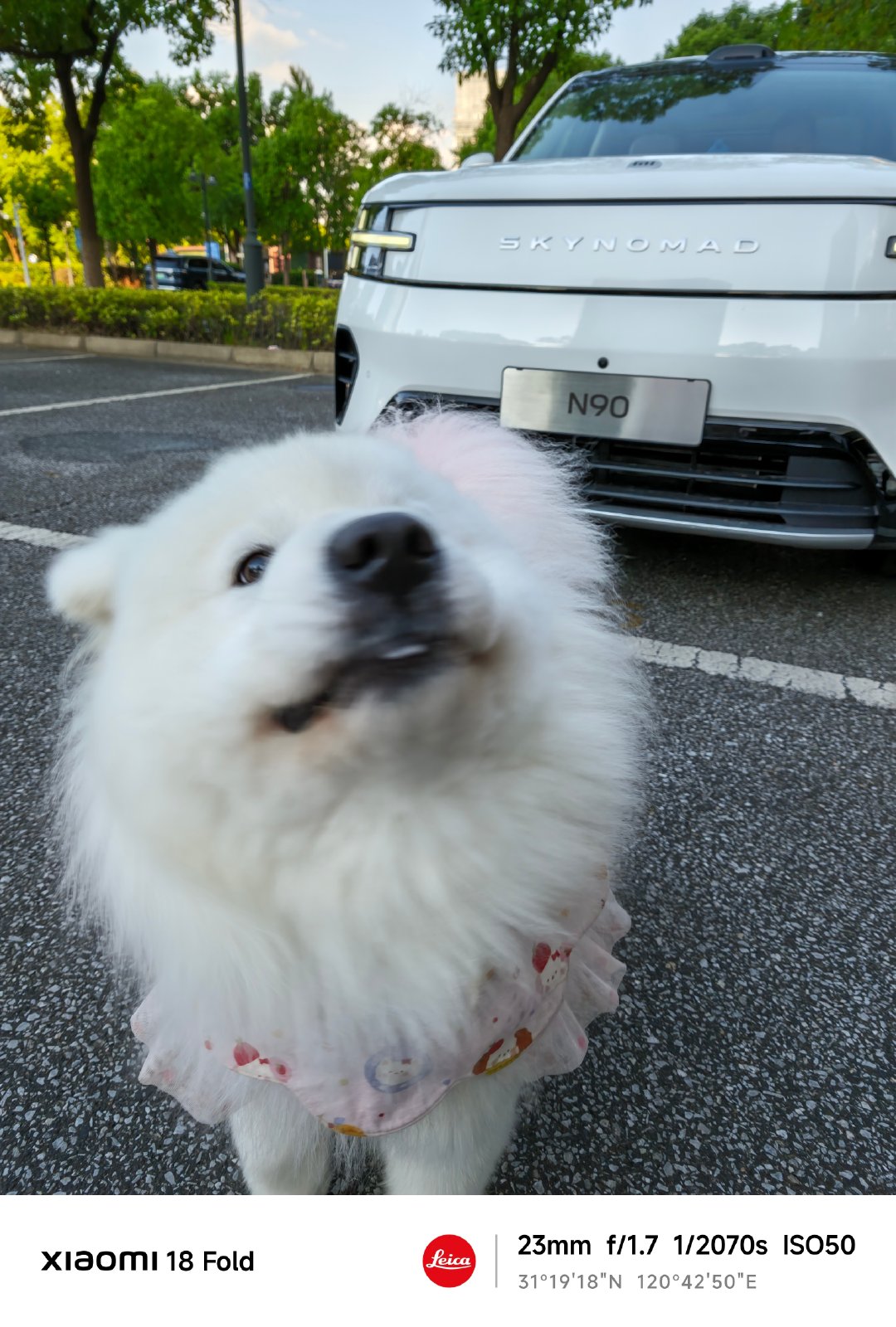 ❤️早，分享美好瞬间～
两只可爱的萨摩耶打卡澎程N90
毛孩子们的快乐车🚗🐶

图片来源：肉包耶耶 ​