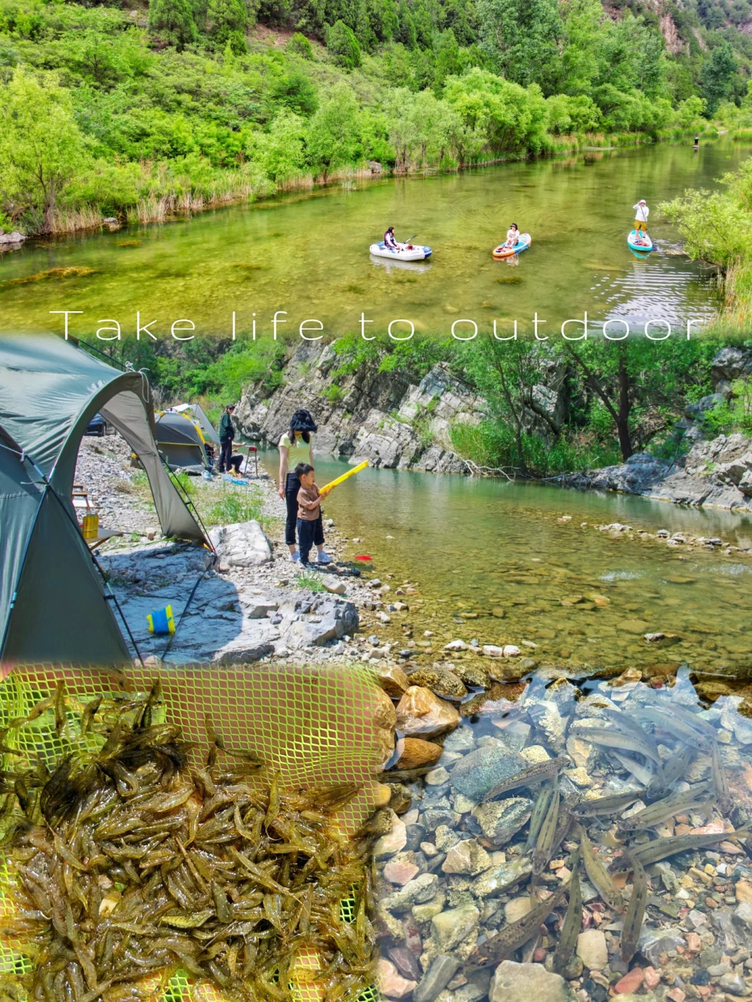 空桶算我输‼️鱼虾爆多🐟🦐夏日玩水天花板‼️