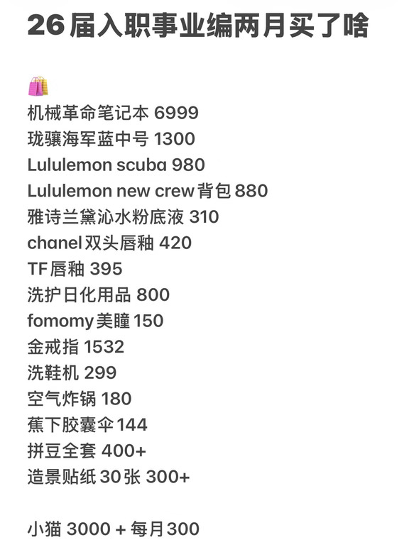 应届生入职两月为了哄自己上班都买了些什么