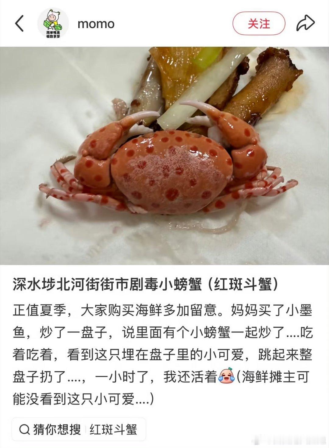#女子吃墨鱼吃出剧毒红斑斗蟹#天呐我特地去搜了下这个红斑斗蟹长什么样子，没想到这种有剧毒，那些没见过的还是不要轻易吃，有点防备更好，吓人 ​