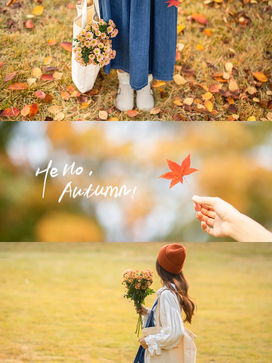 预习一下秋天的氛围感拍照|附原图调色滤镜