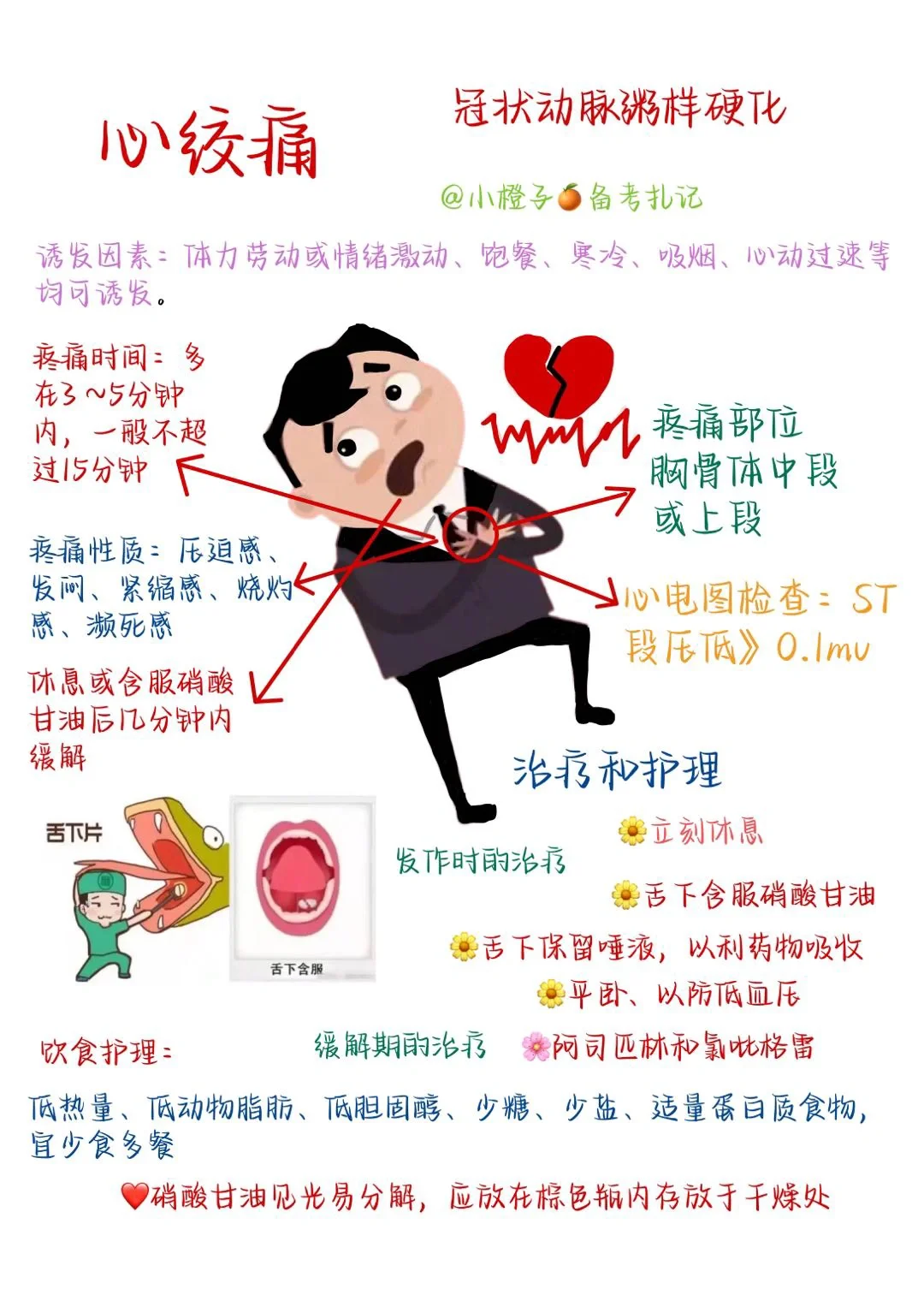 📖护师笔记｜内科护理学｜心绞痛💔