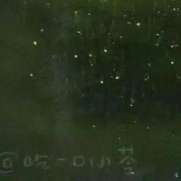 🍥#‍‎种植# 🍥#‍种植方法# 

李子完整种植方法（家庭盆栽/果园通用）
 
一、选址与育苗
 
1. 环境要求
 
- 光照：全日照，缺光少结果、果子不甜
​
- 土壤：疏松沙壤土，pH6.0-7.5，严禁低洼积水，地下水位高于1米，积水极易烂根死树
​
- 温度：生长适温20-30℃，花期12-16℃，北方可越冬，花 ​
