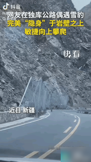 “上新华社了!”新疆独库公路，一对男女自驾途中，副驾女子无意间望向岩壁，突然惊呼：哎呀，豹子！

说实话我一开始刷到这条心情挺复杂的。这几年独库公路火成这样，天天堵车打卡，我一直担心游客扎堆会不会把野生动物都吓跑，没想到反倒是这条公路把雪豹的存在感“打”出来了。

细想也不奇怪，独库沿线本就穿天山深