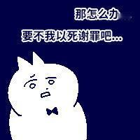 可爱又沙雕领结猫𝙒𝙚𝘾𝙝𝙖𝙩表情包