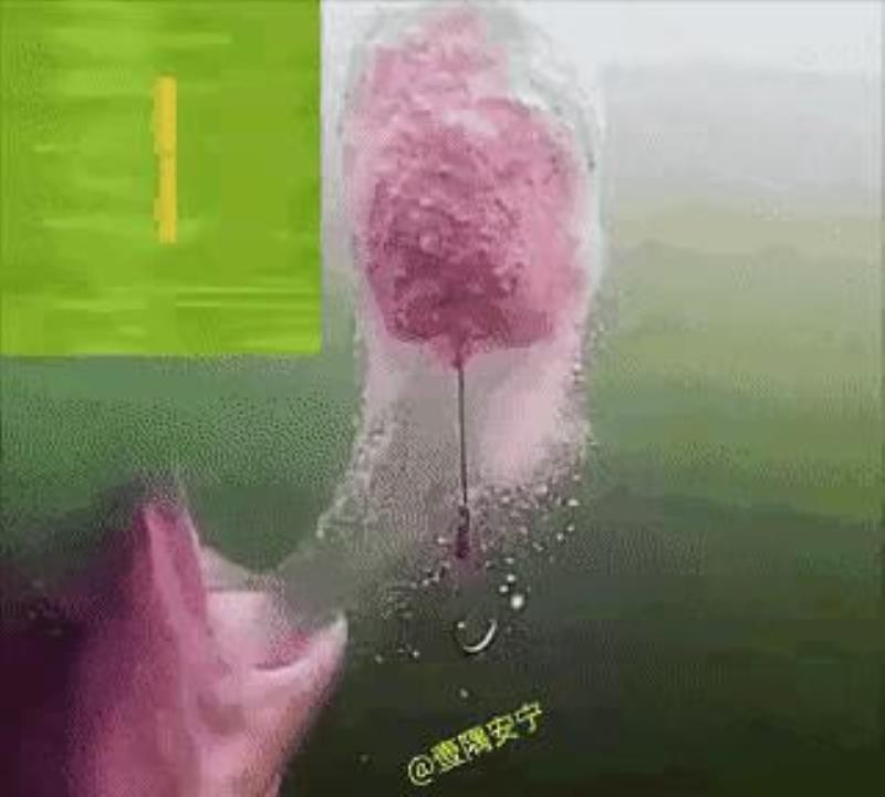 鱼缸里那条蠢鱼又在撞玻璃了，每次喂食前都这样。但最近发现它根本不是蠢...