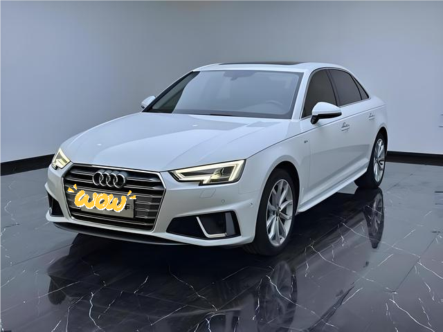 二手奥迪 A4L，豪华中型车，家用兼顾体面。
预算13万左右，想入手豪华品牌中型轿车家用，建议看 2019 款奥迪 A4L 40TFSI。
2.0T 搭配 7 速双离合，动力响应快，底盘扎实，高速稳定性优秀。车内空间宽敞，品牌氛围感到位，家用、偶尔接待都合适。
入手豪华二手车一定要预留整备预算。橡胶