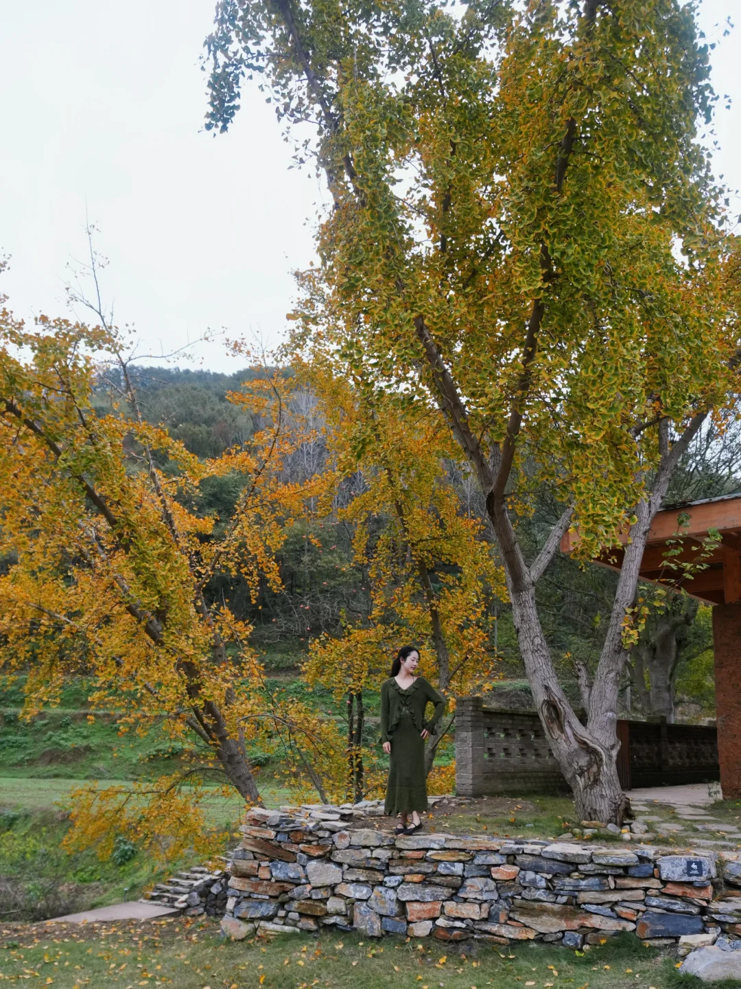 今年随州秋天一定不要错过这里！！！