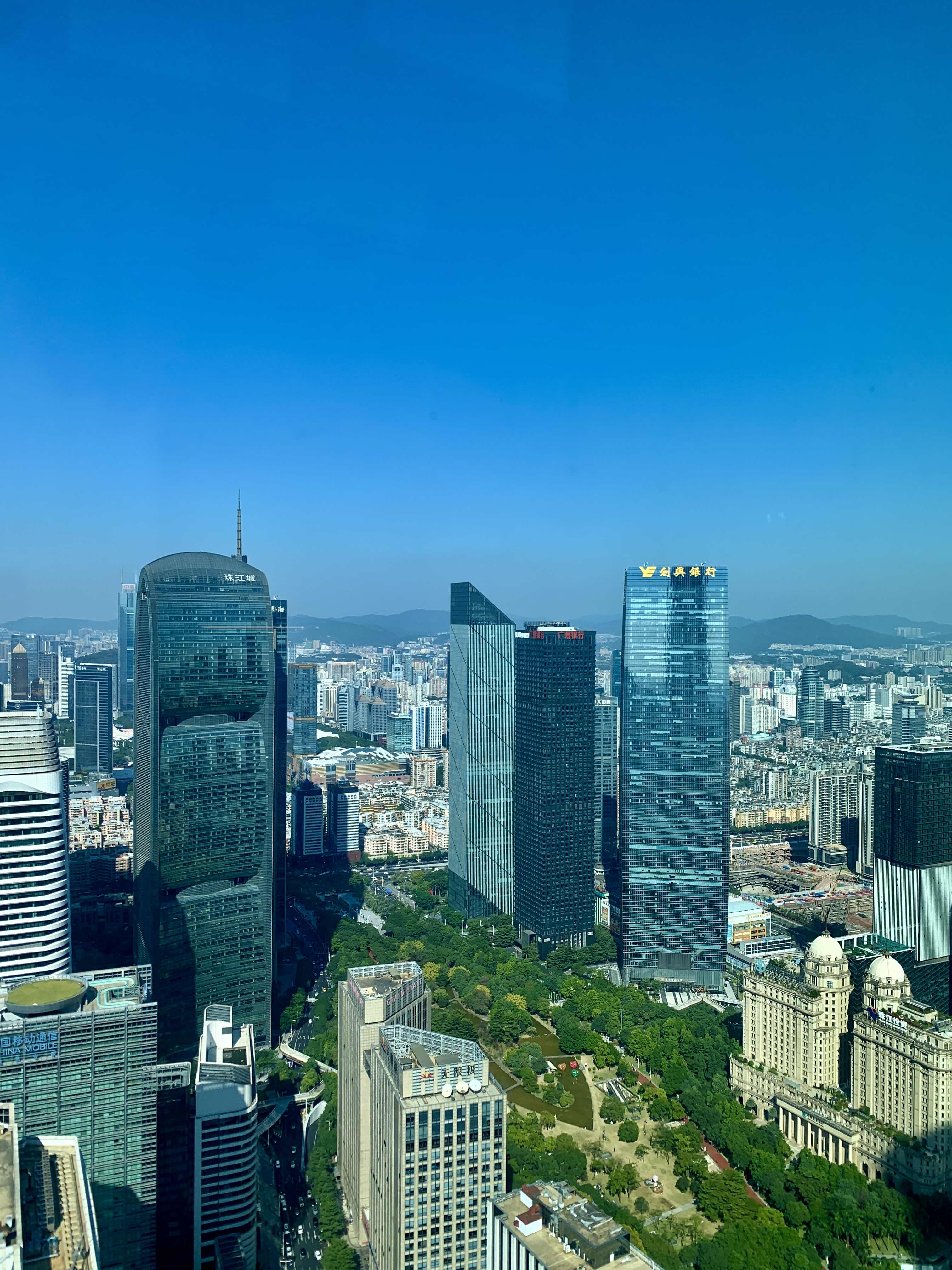 一张天空照。，现代都市的繁华与绿意交织。