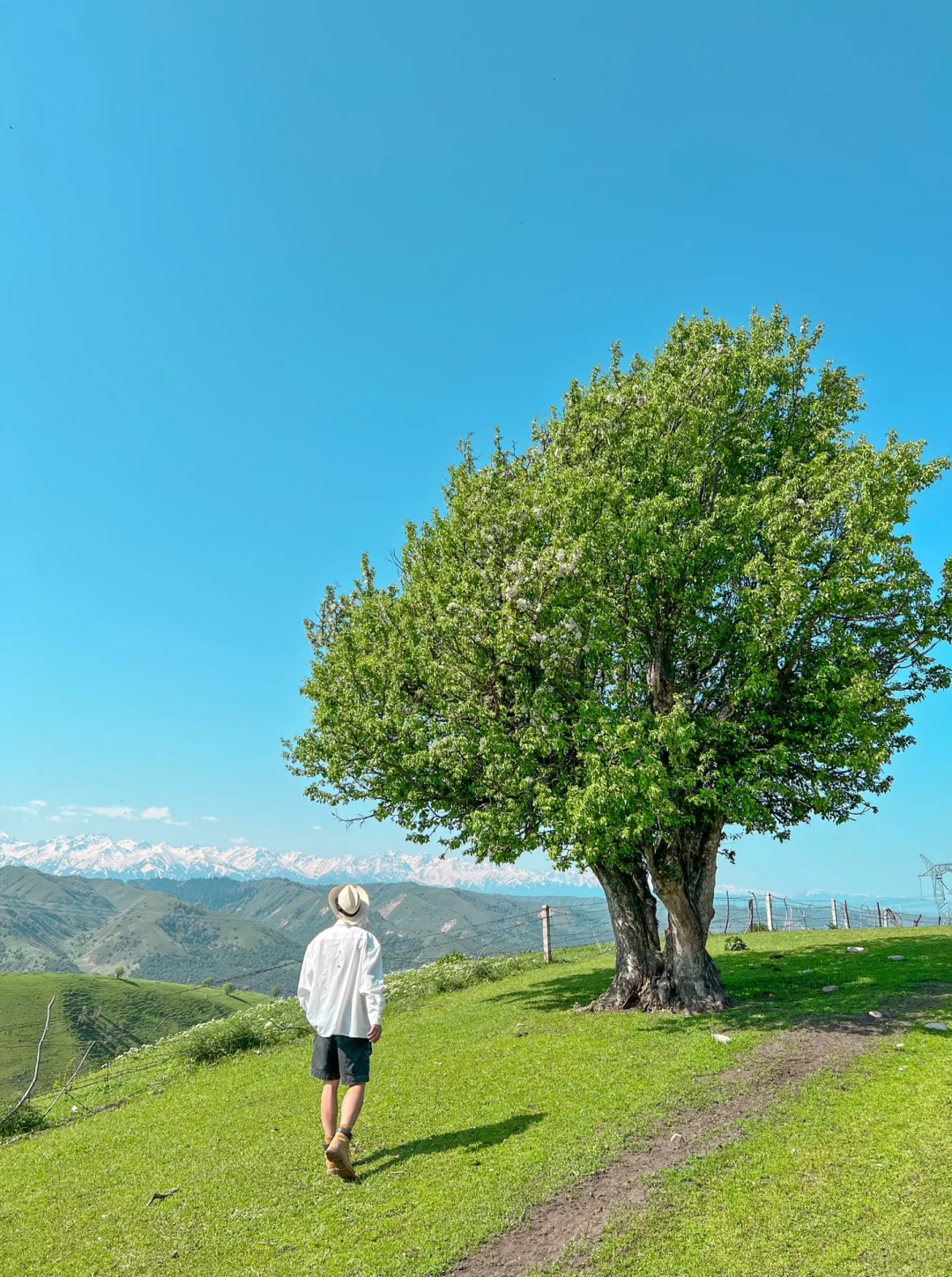 扑面而来的雪山！每一个弯道都值得停车｜伊犁