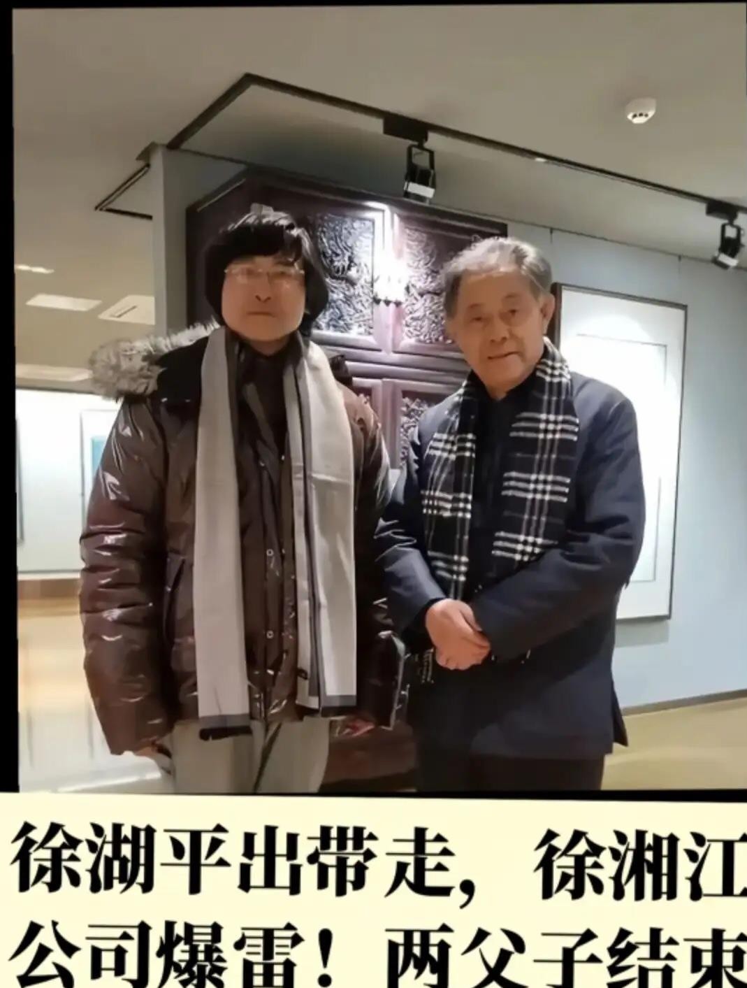 南博原院长徐湖平因受贿罪获刑三年，罚金二十万，他儿子徐湘江名下的敏求艺术品公司在他被调查同月大门紧锁，被市监局列入经营异常名录。明代仇英《江南春》图卷本是庞家无偿捐给南博的国宝，九十年代被违规调拨到省文物总店按赝品低价处置，多年后现身拍卖行估价八千八百万。官方通报定性是受贿，不是倒卖文物，追责二十九