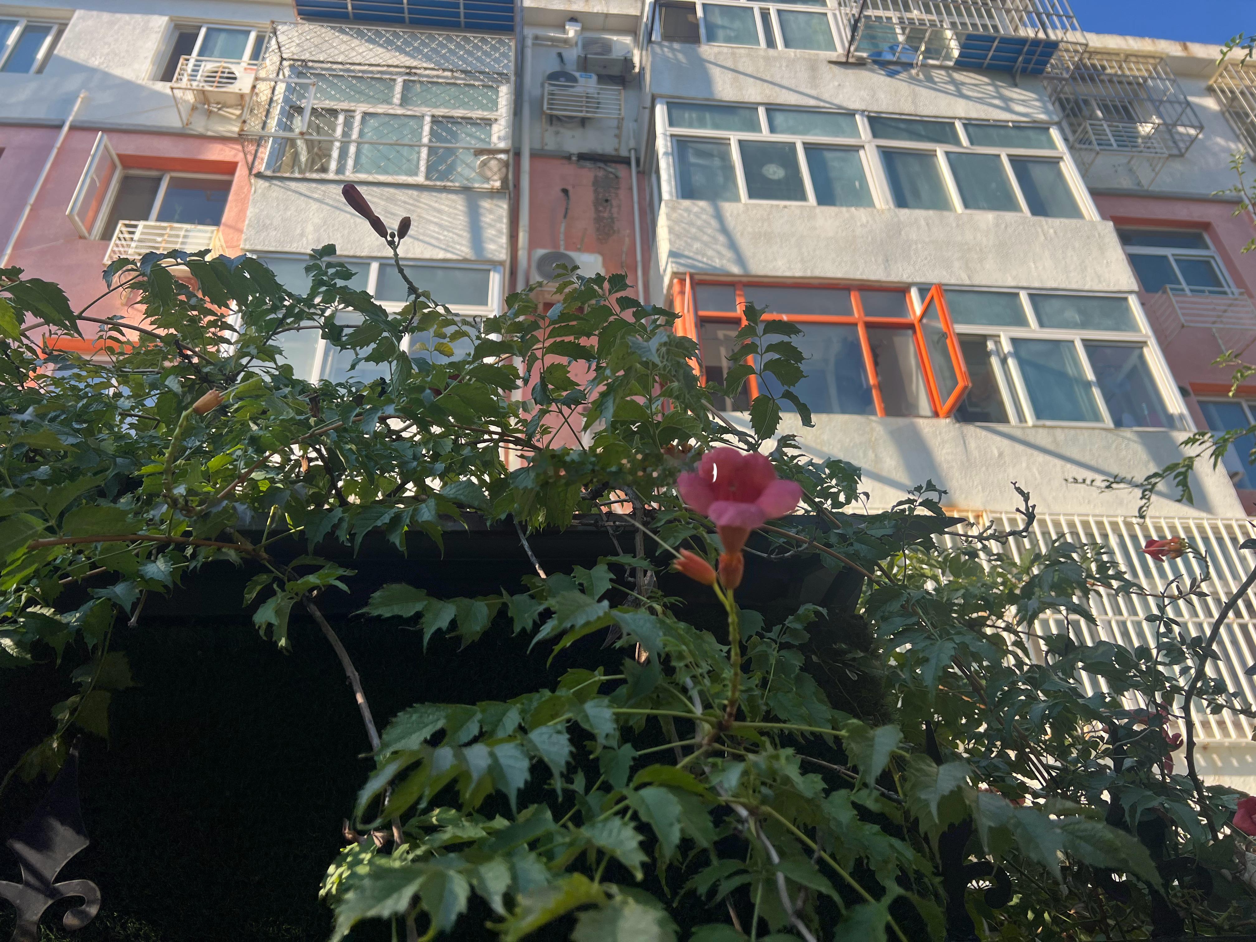 街上的国槐已经开始落叶，风吹过，叶子就落了一地。自行车道，共享单车、电动自行车一辆一辆地过去，匆匆忙忙的。秋天是真的来了。
小街巷。路过以前住过的老小区，不大的小区，几栋上个世纪八十年代后陆续建设的五、六层老楼房。从1983年入住到2000年搬家，我家住了整整17年。二十多年，小区变化很大 ​