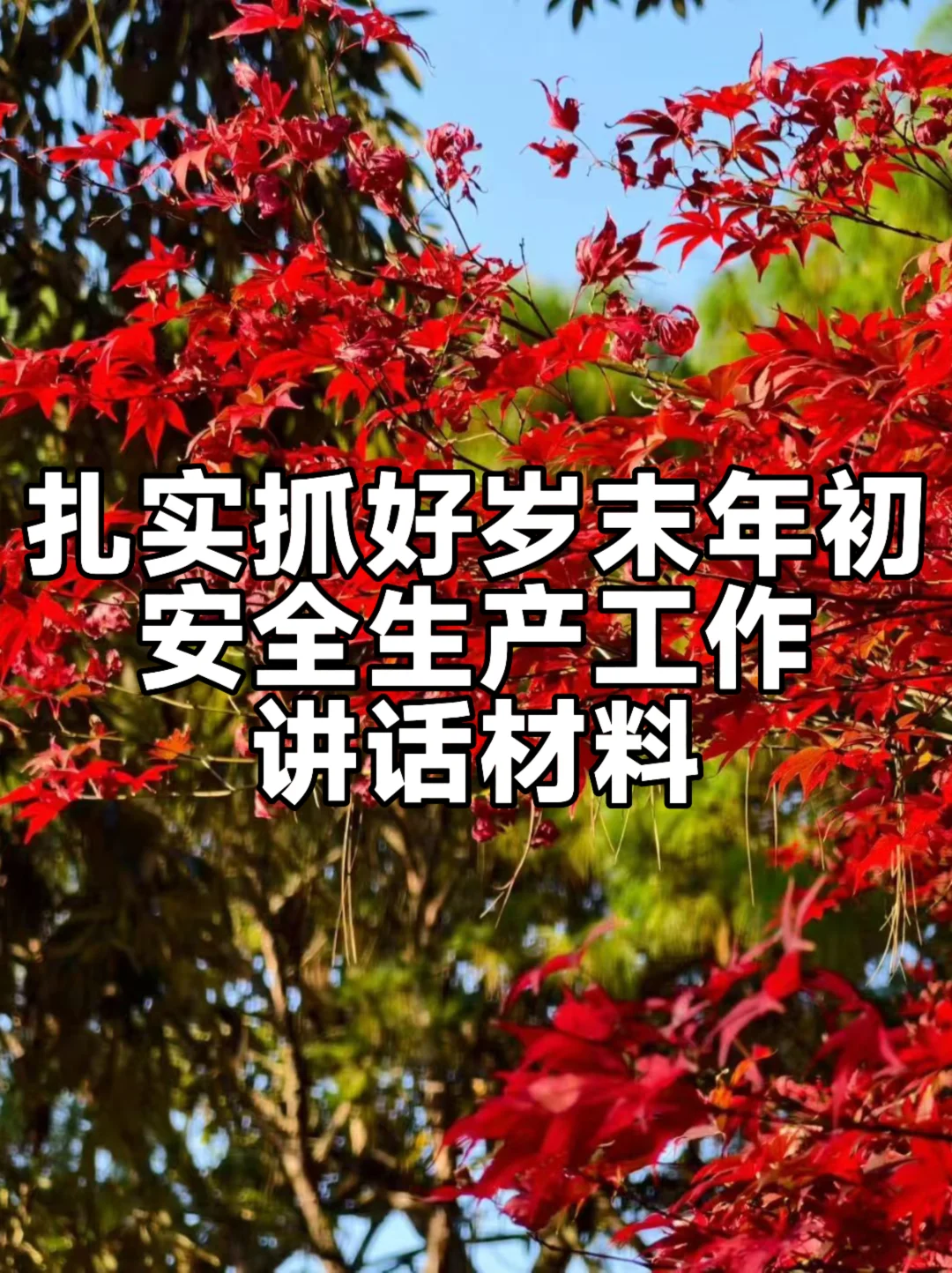 体制内：扎实抓好岁末年初安全生产工作