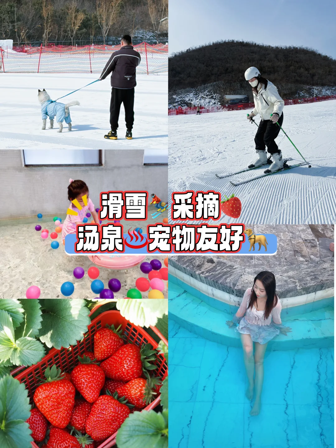 北京周边亲子游⛷️滑雪/汤泉/采摘/宠物友好